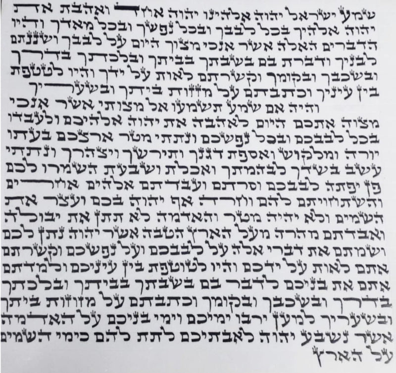 קלף מזוזה אשכנזי כשר ומהודר 12 ס״מ